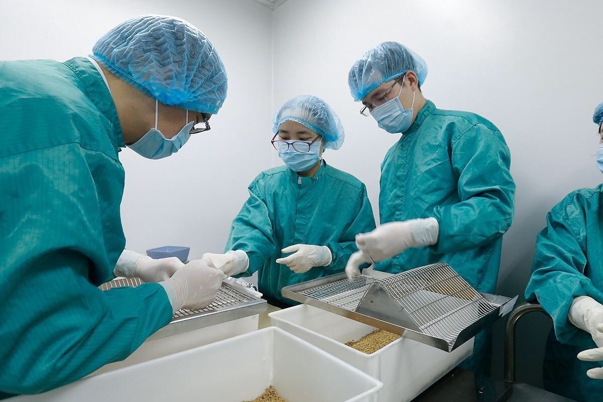 VinIF ảnh 1 VinIF anh 1
