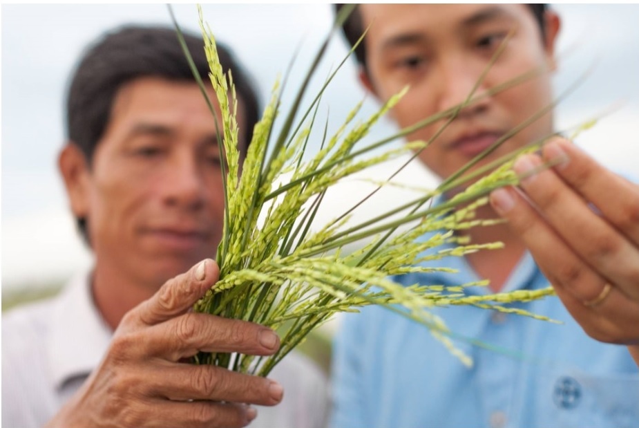 bayer ảnh 2 bayer anh 2