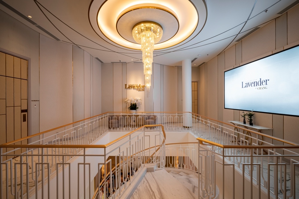 Lavender By Chang anh 12