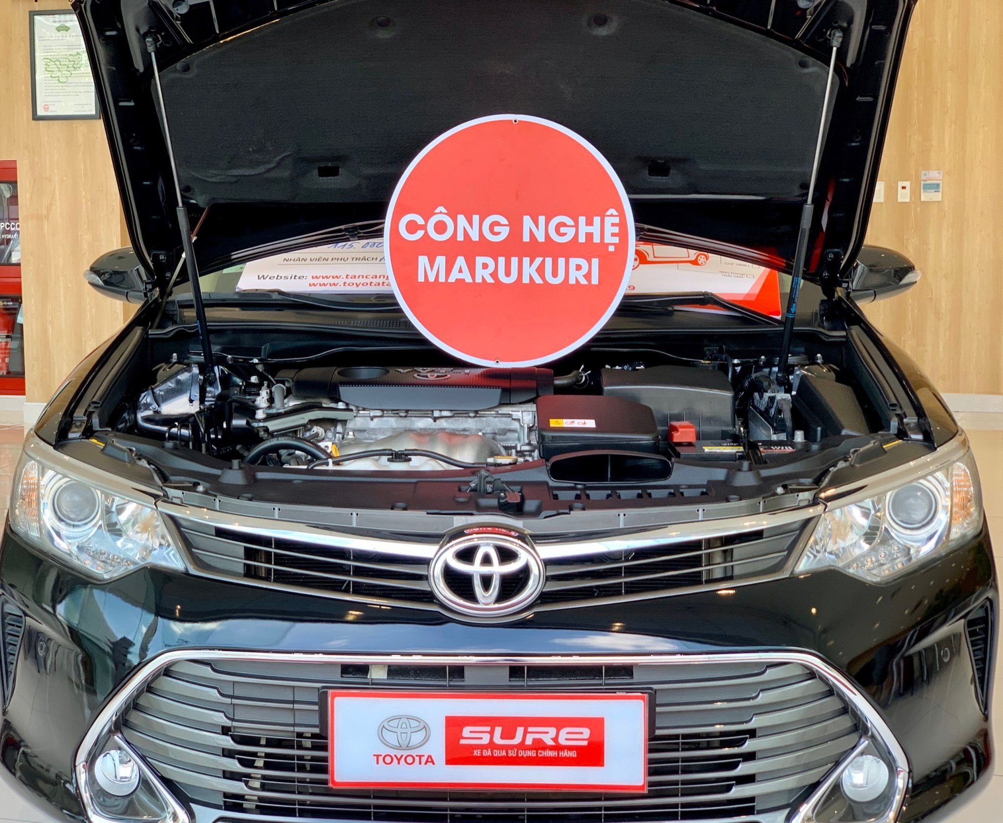 Toyota Hiroshima Tan Cang anh 3