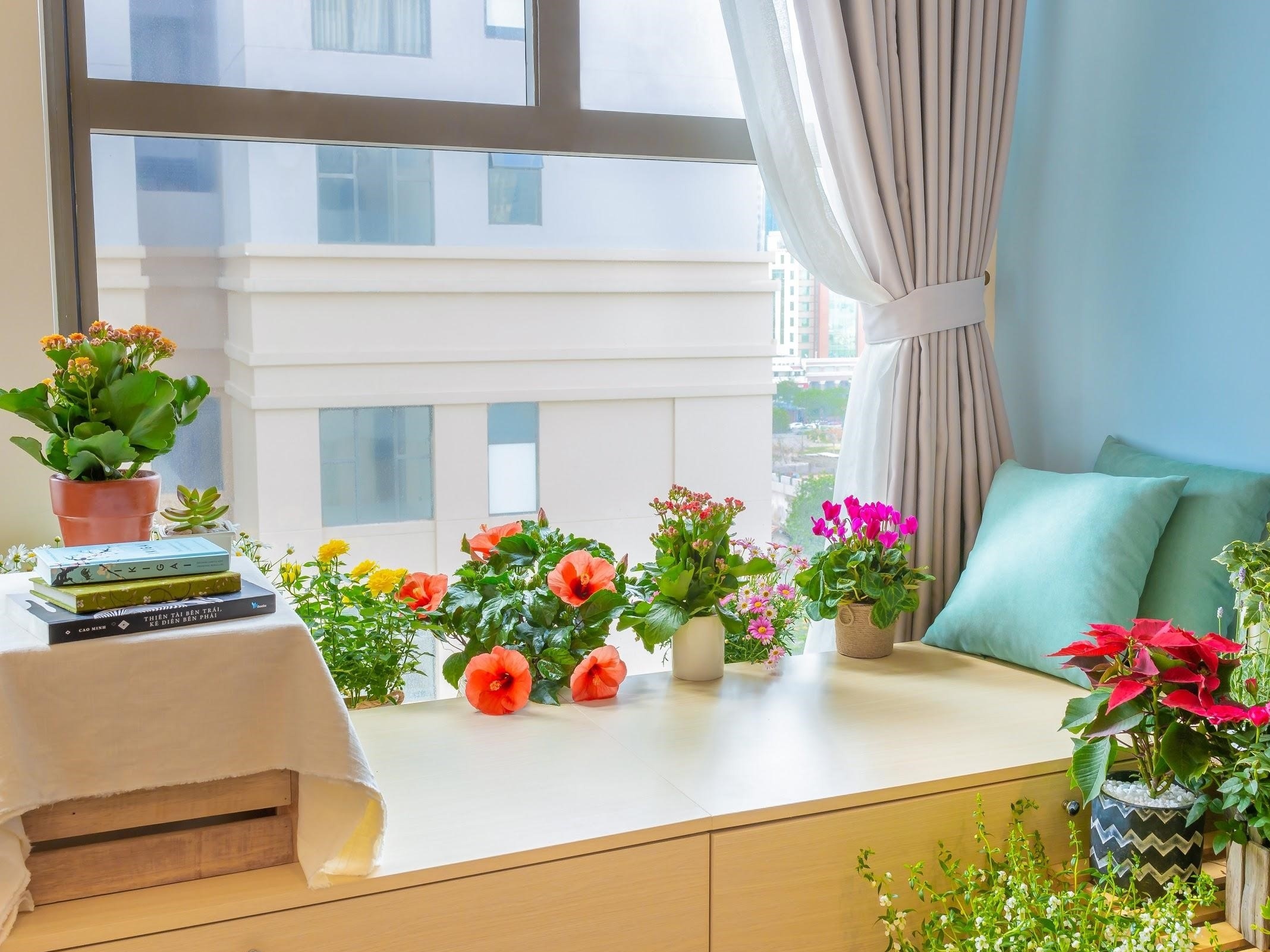 Dem nang luong tich cuc cua hoa vao cuoc song hinh anh