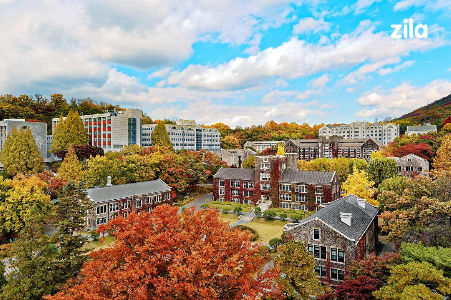 Zila Education anh 3