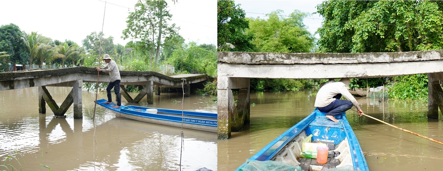 Quy Nam Phuong anh 1