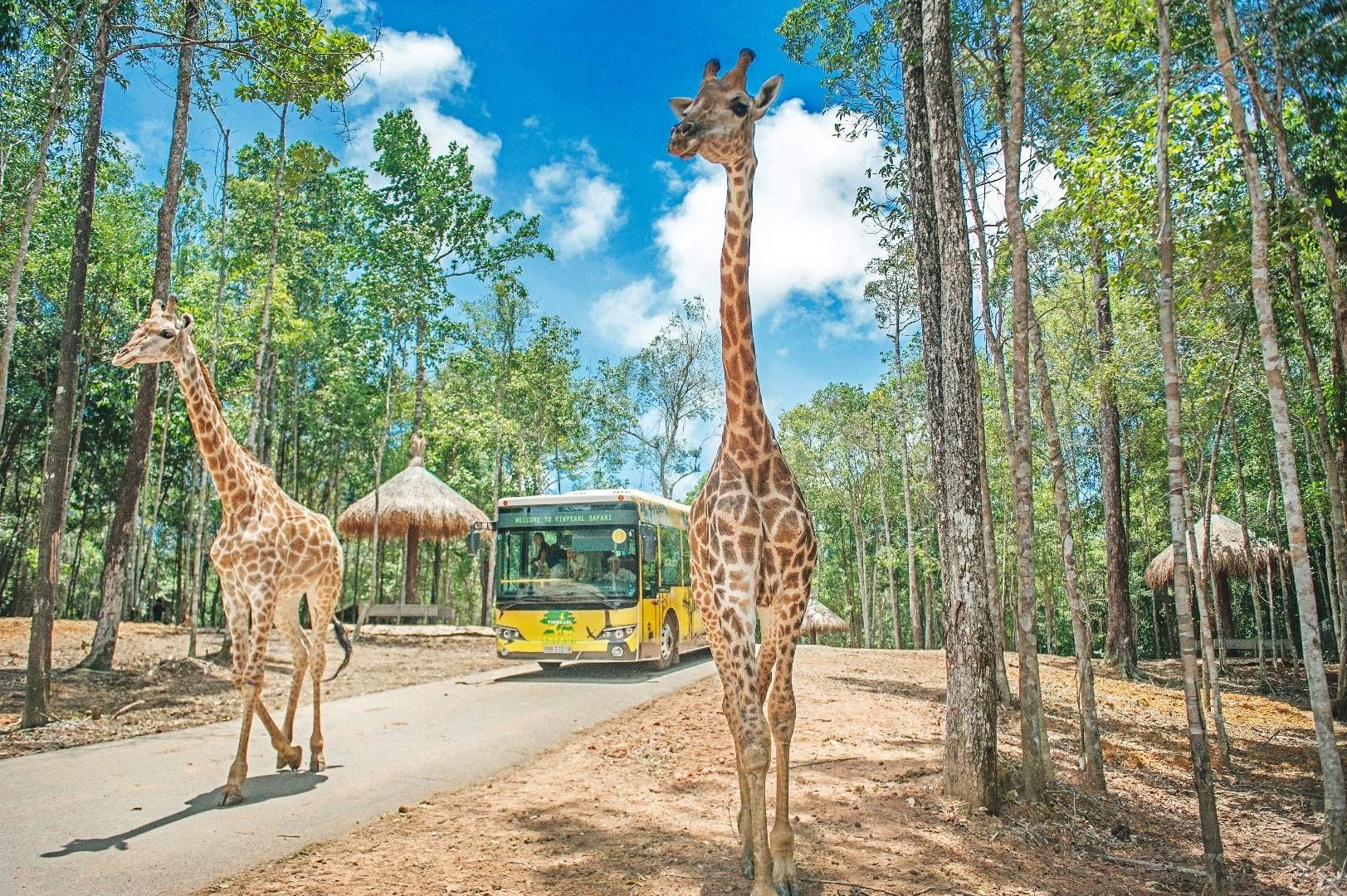 Tri ân người hùng áo trắng ảnh 7 Tri an nguoi hung ao trang anh 7