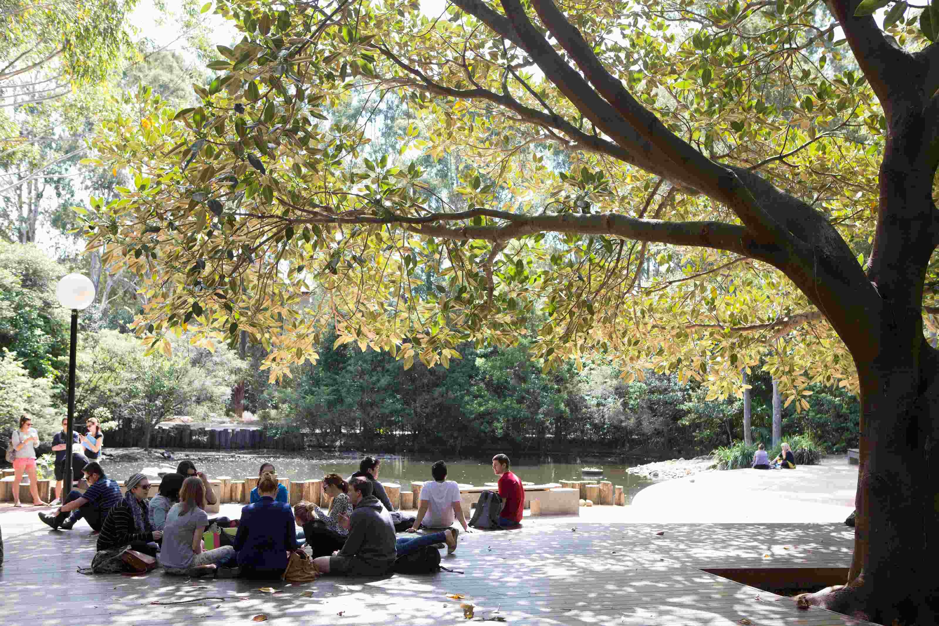 du hoc Duc Anh anh 2