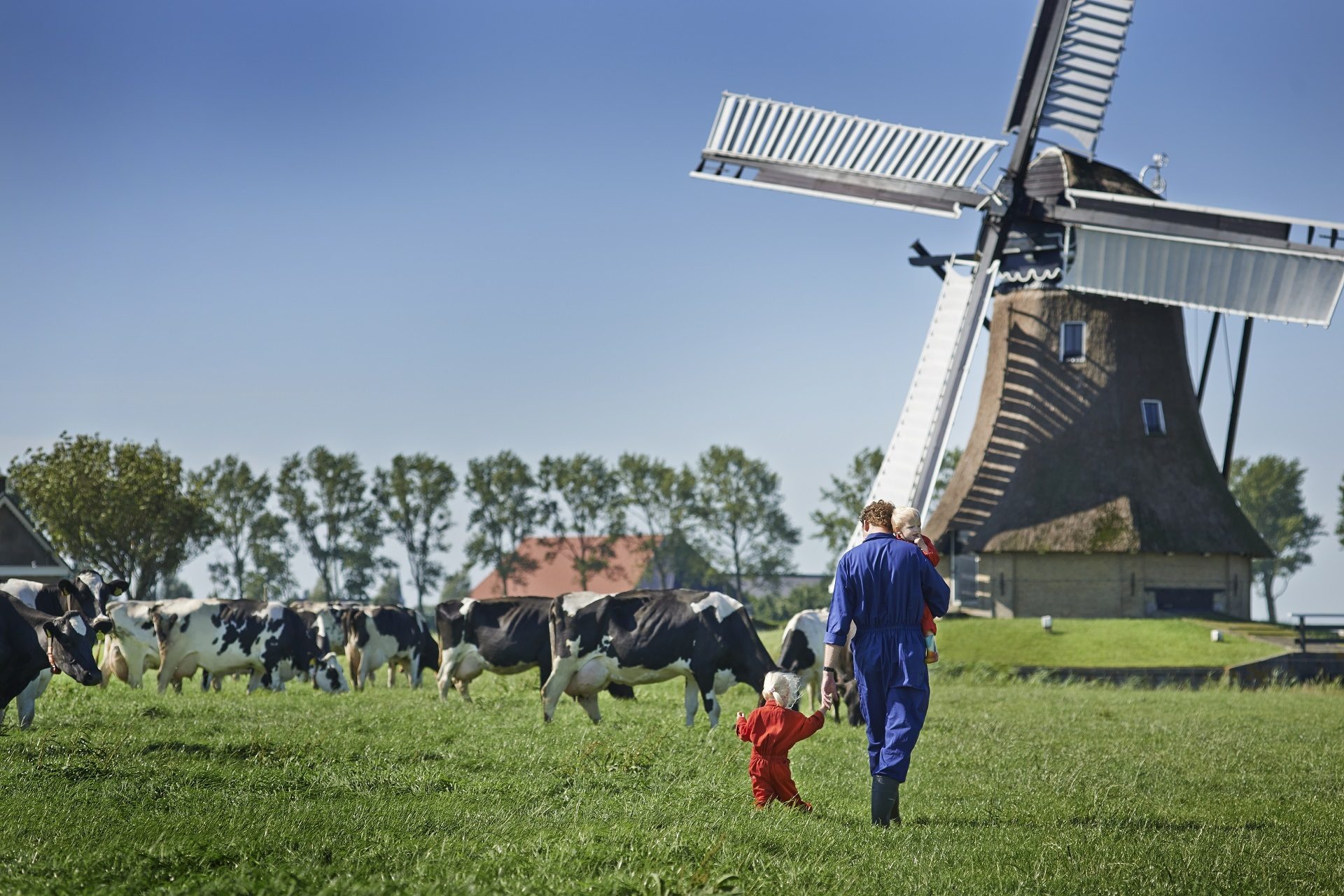 sua tuoi Co Gai Ha Lan anh 1