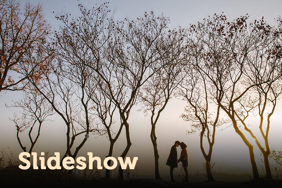 Trai nghiem dang ghen ty cua 4 hanh trinh 'di va yeu' hinh anh