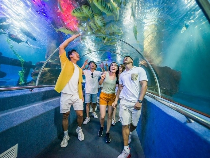 Lich trinh 2 ngay 'pha dao' VinWonders Nha Trang hinh anh