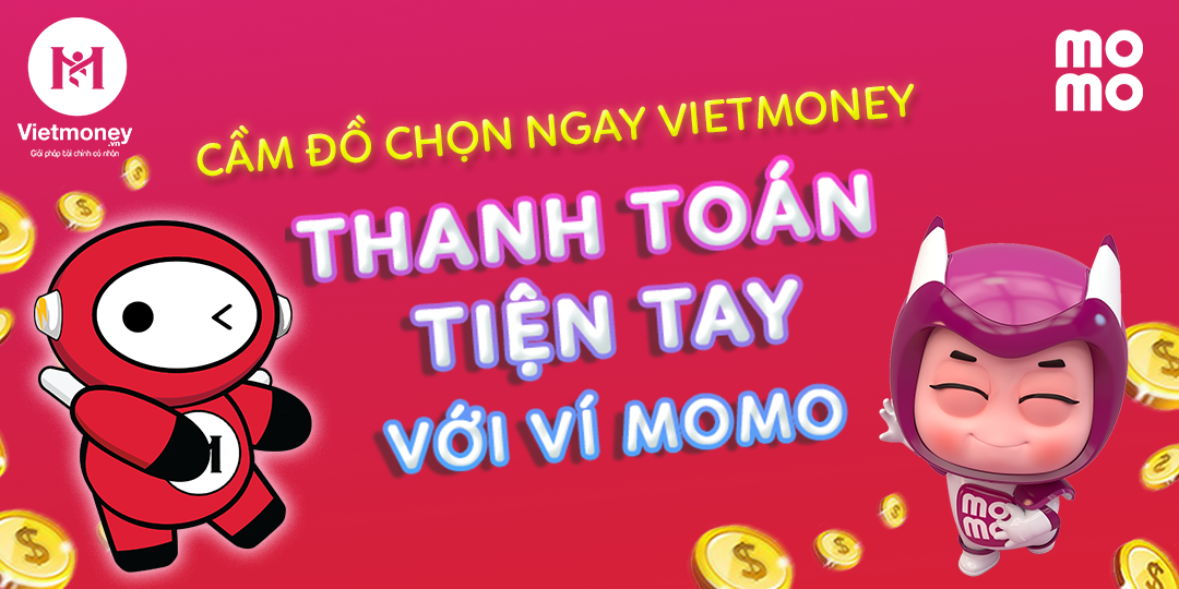 Vietmoney anh 3