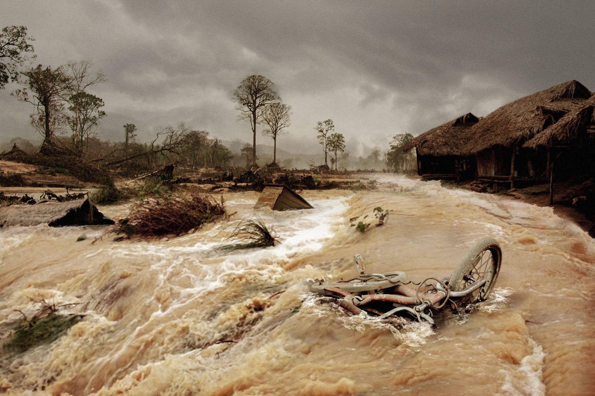 'Tham hoa lang Kay' khien gioi tre giat minh voi thuc trang mat rung hinh anh