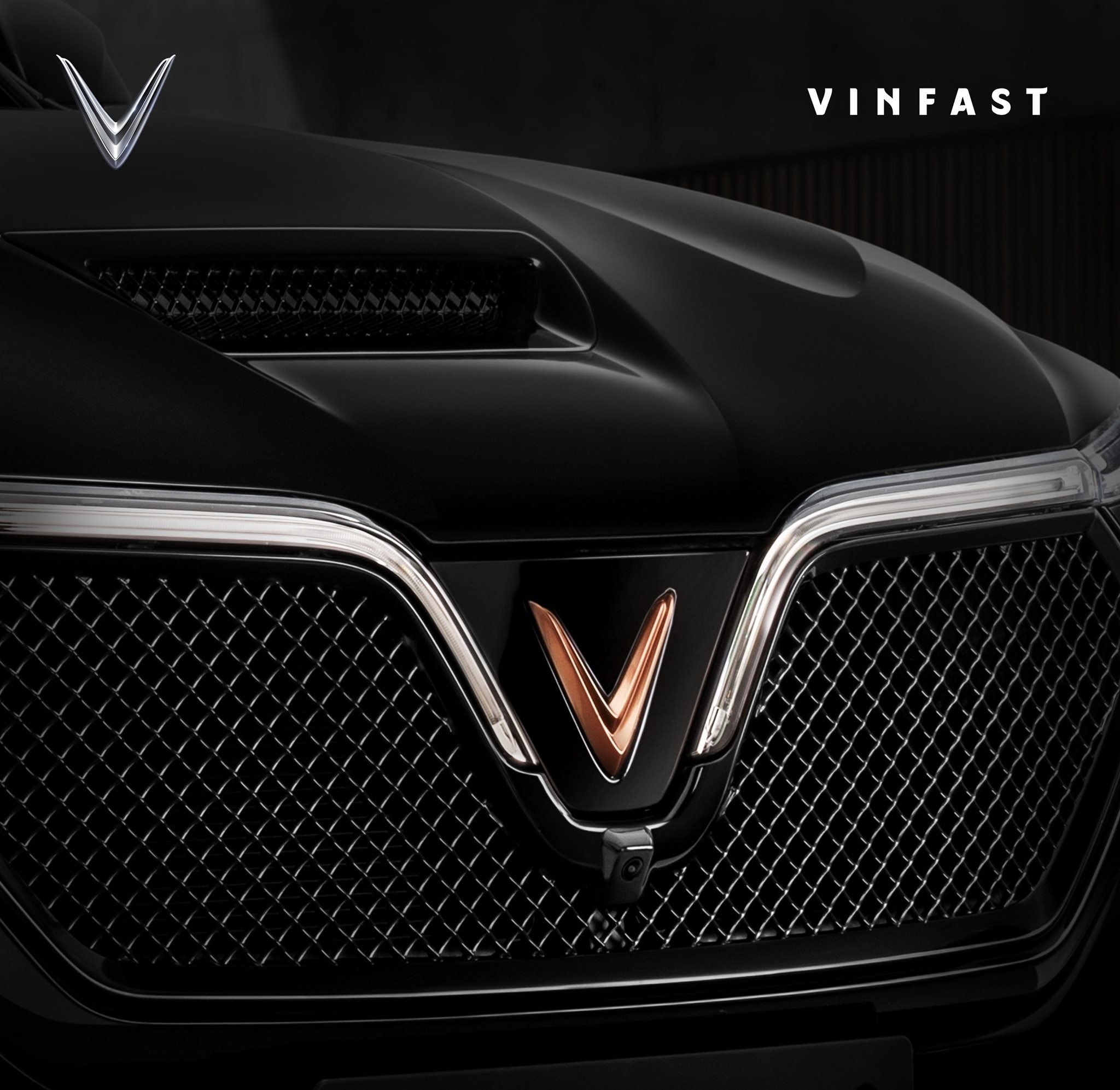 VinFast President anh 1