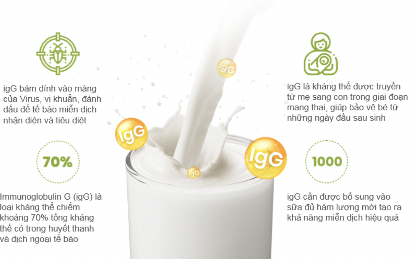 Colos Platium 1 anh 1