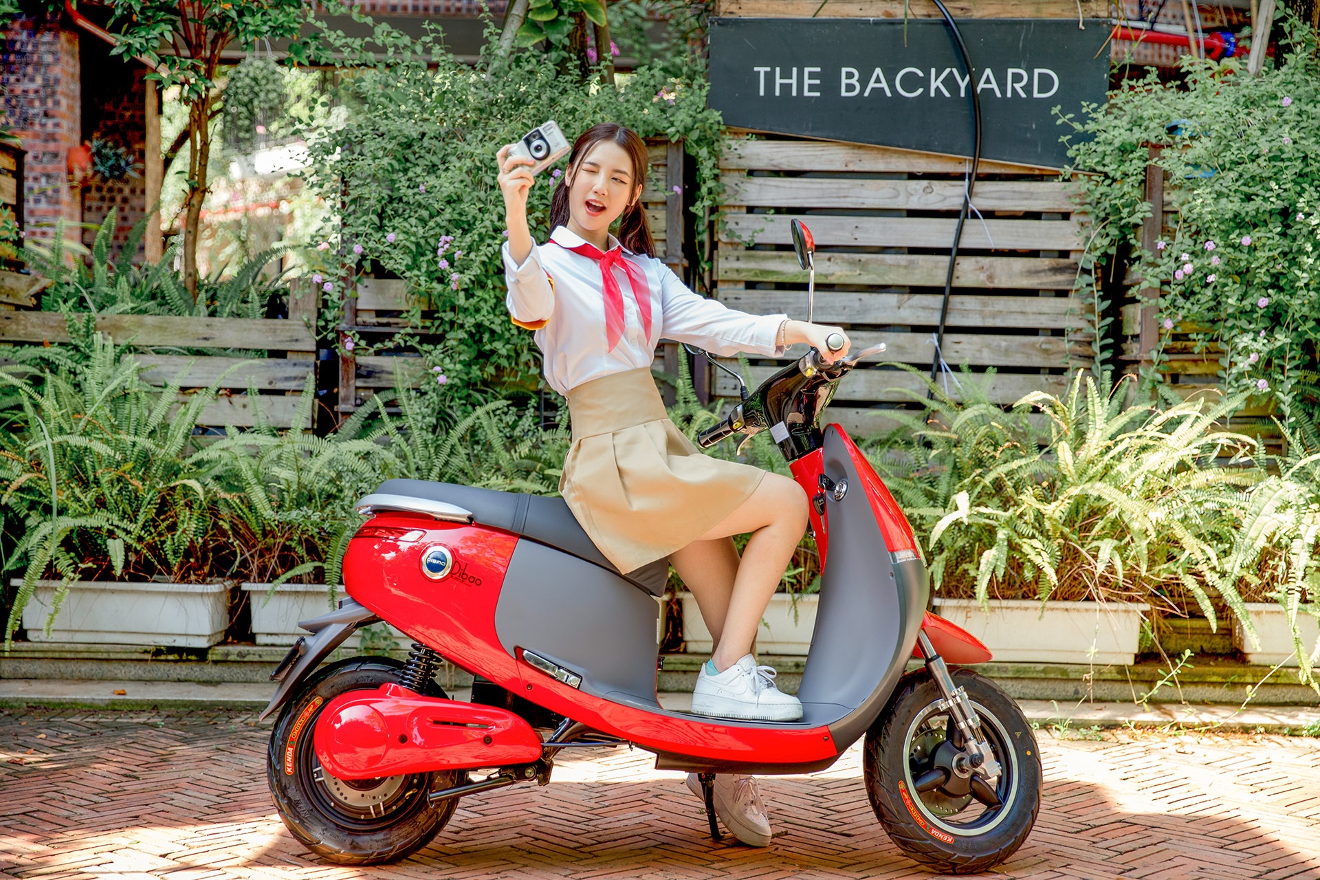 dibao ảnh 1 dibao anh 1