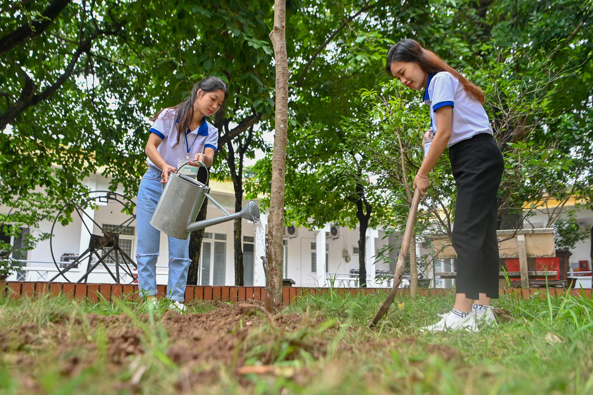 ‘Man chan xanh’ lan toa tu Ha Noi den rung phong ho khap Viet Nam hinh anh