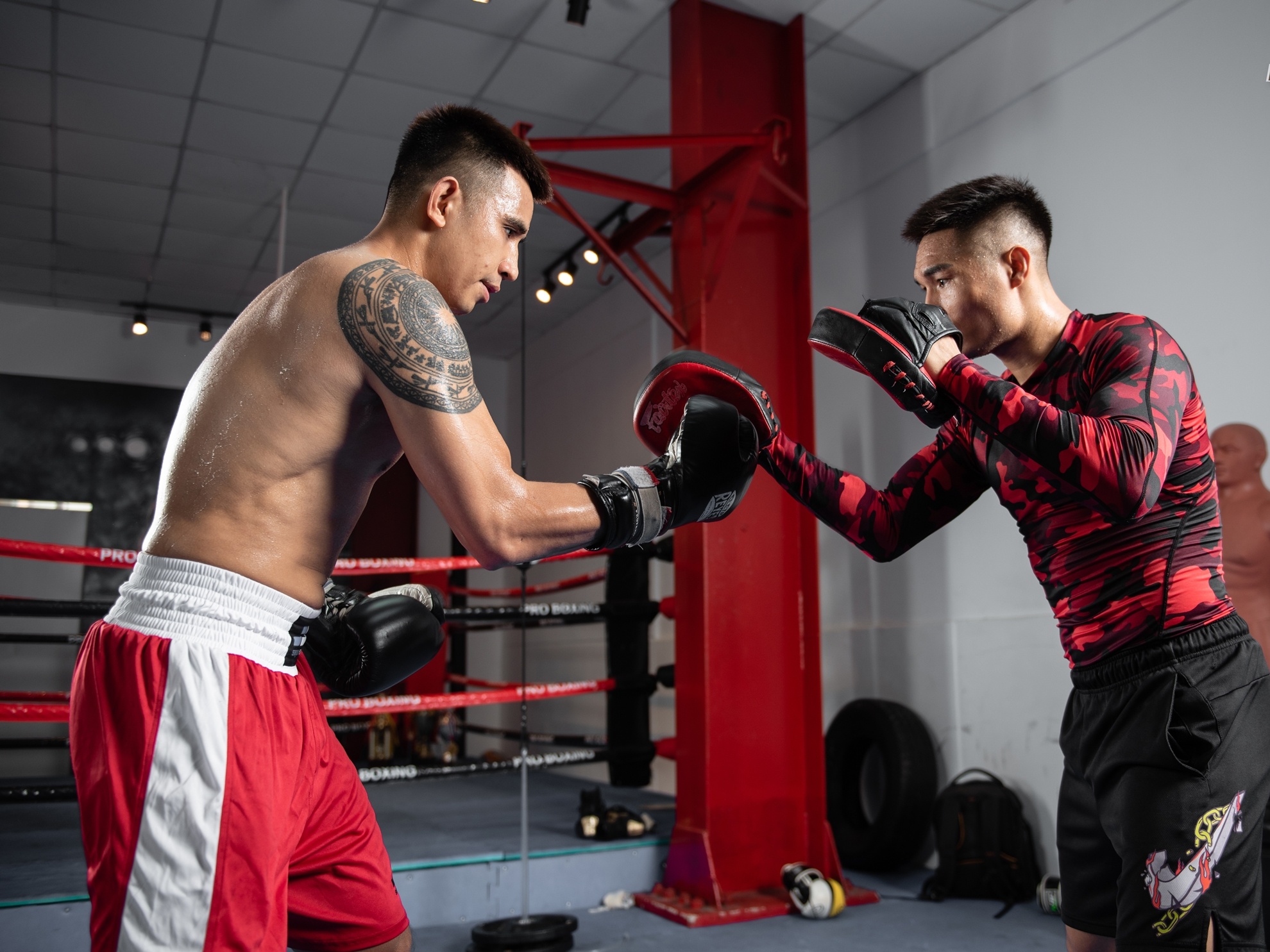 thuc pham dinh duong cho boxer anh 3