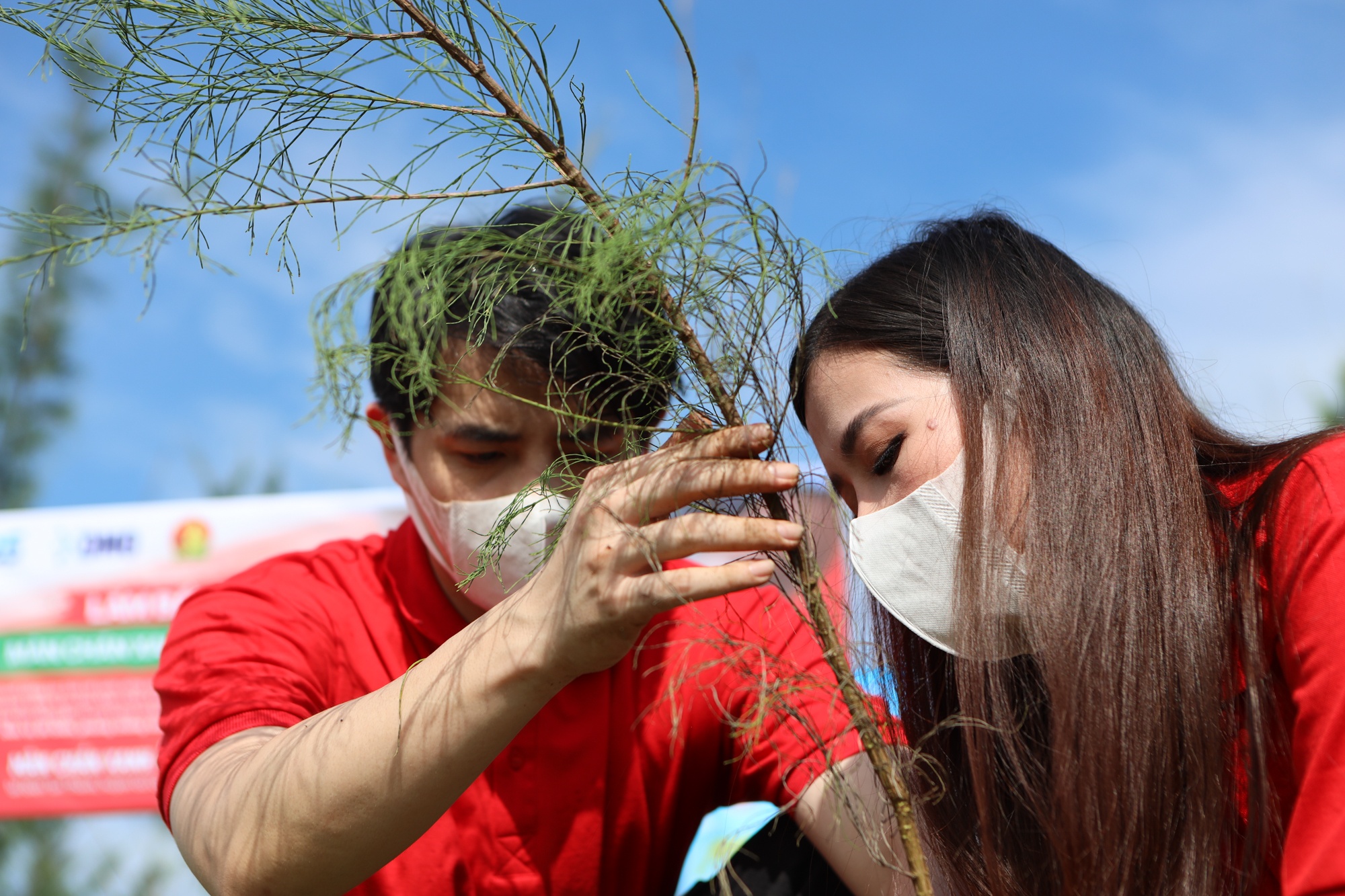 Man chan xanh,  trong rung,  OMO anh 3