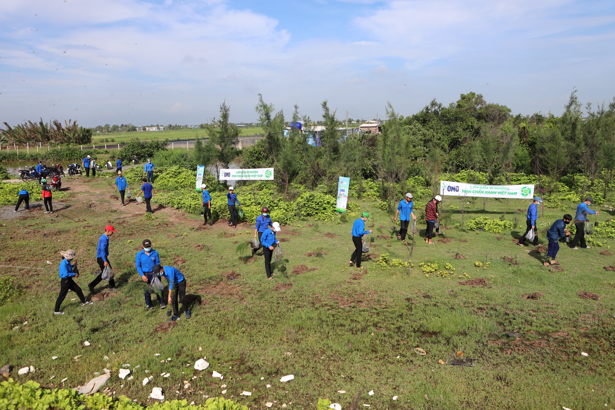 Man chan xanh,  trong rung,  OMO anh 5