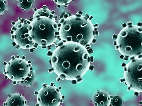 Hieu qua uc che virus corona cua goc hydroxyl boc trong nuoc hinh anh