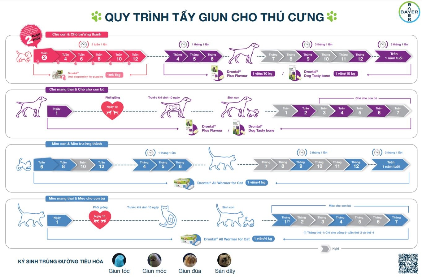 Bayer Viet Nam anh 3