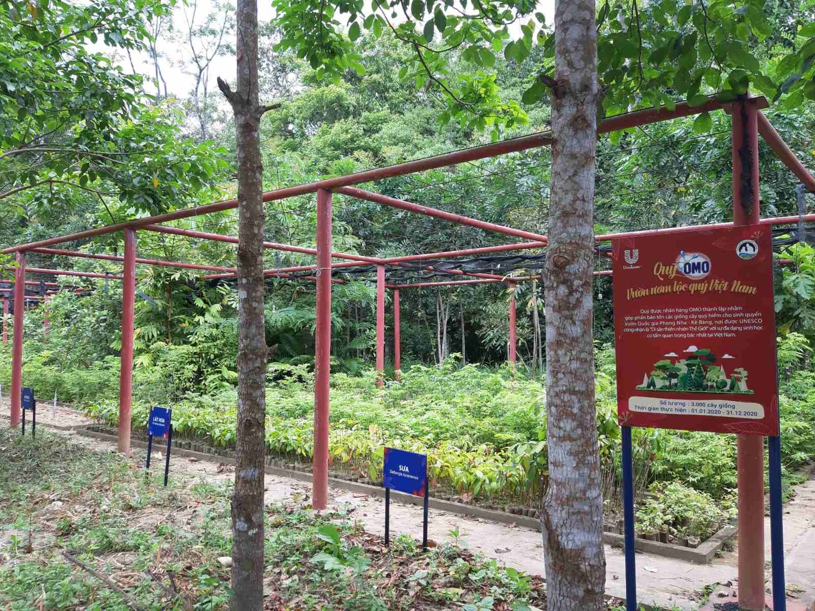 OMO ảnh 1 OMO anh 1