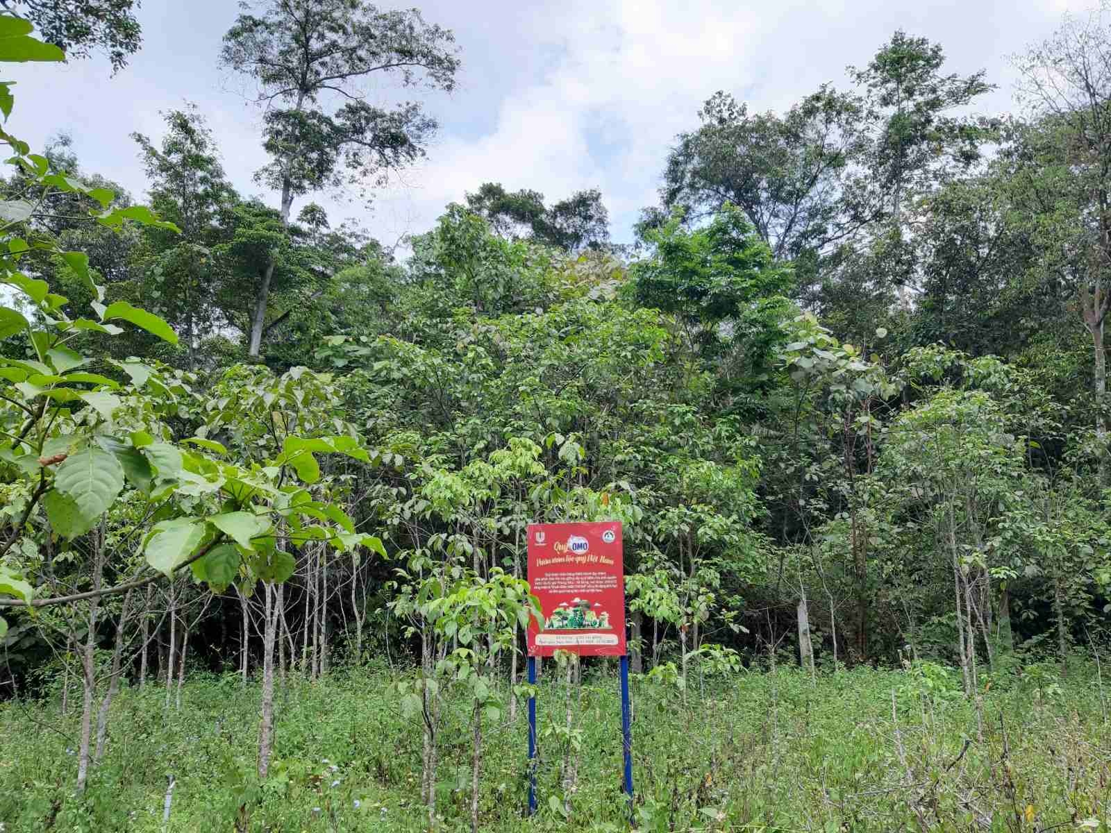 OMO ảnh 2 OMO anh 2