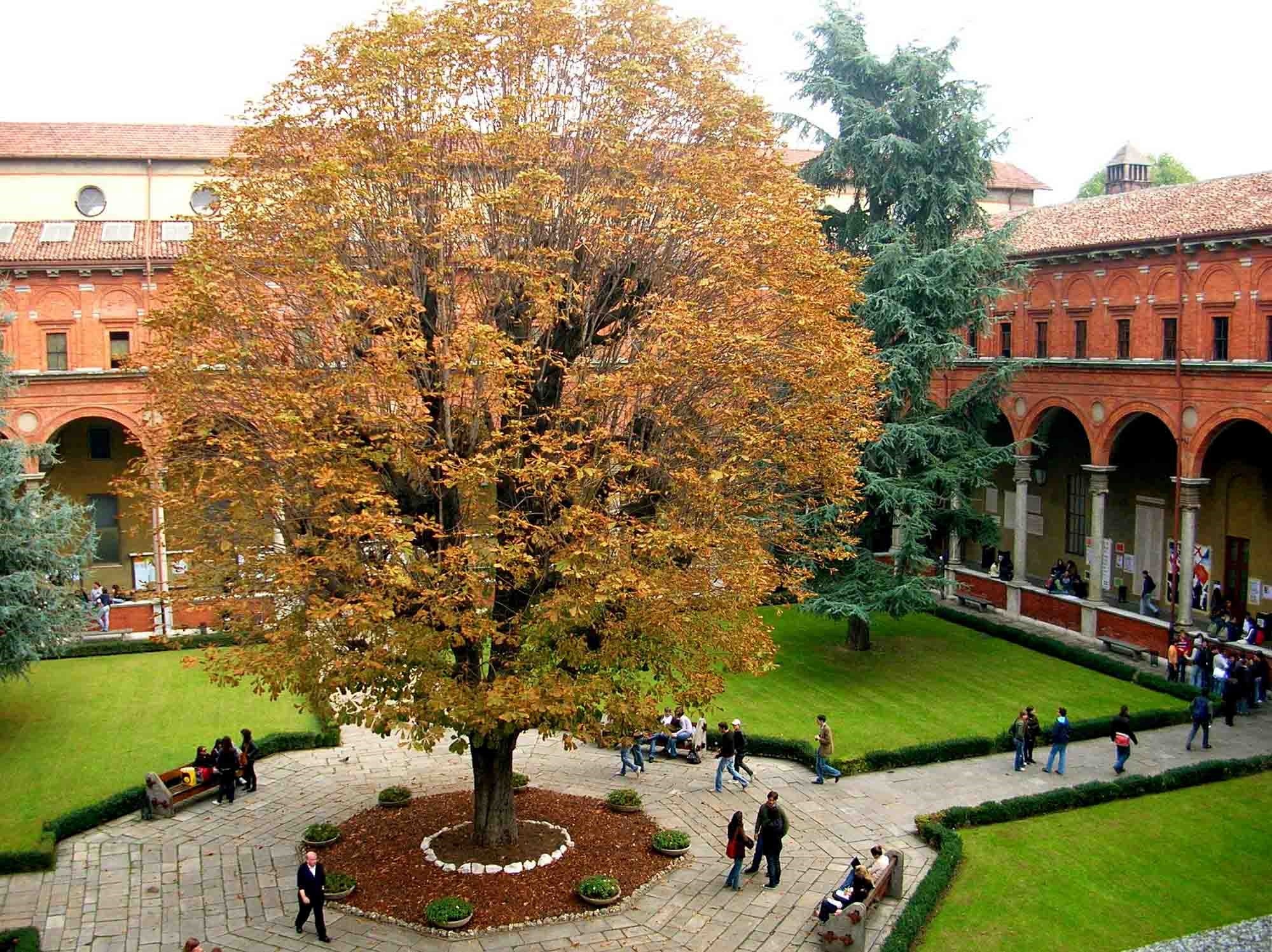 tu van du hoc Duc Anh anh 1