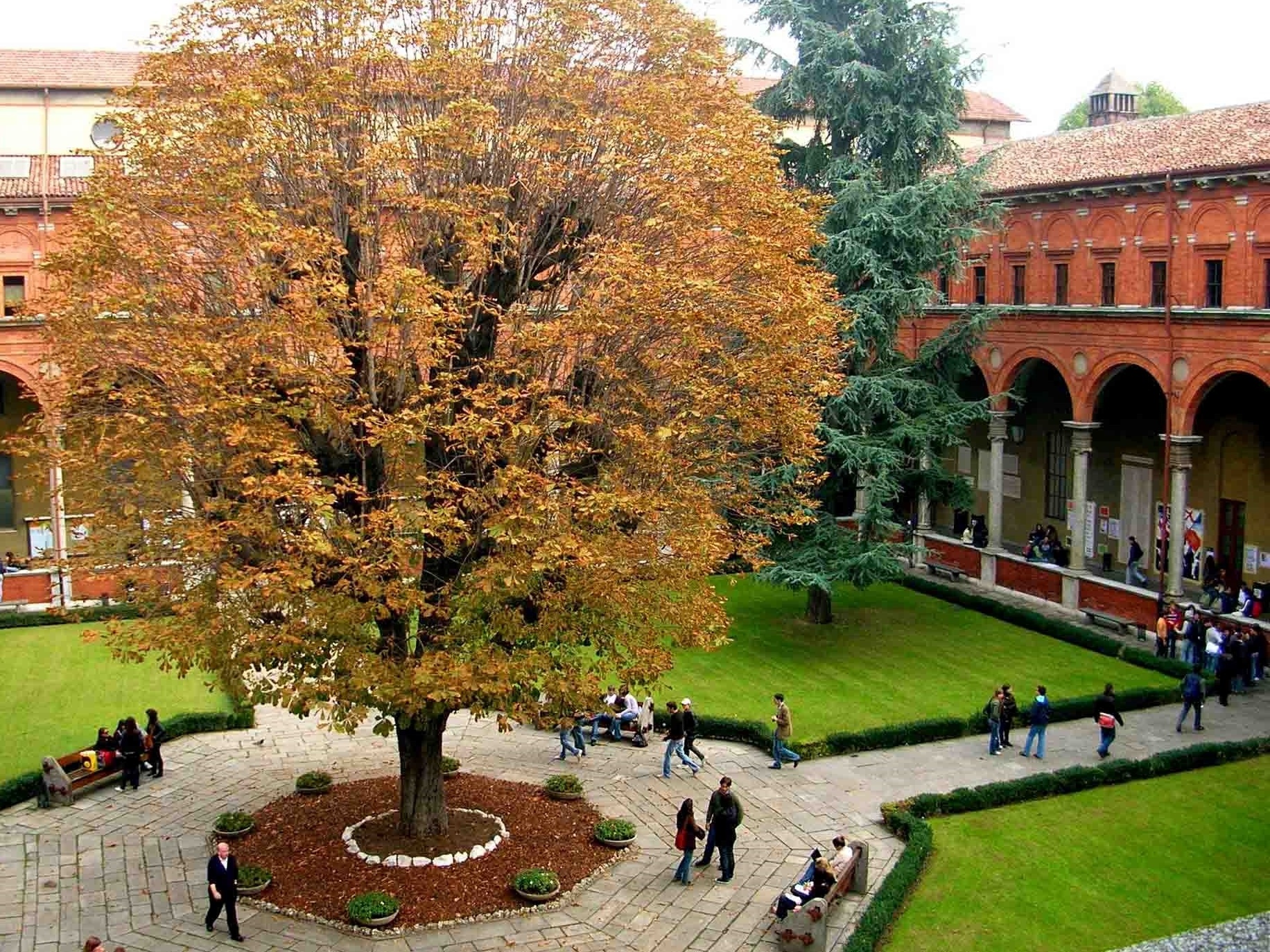 The manh dao tao da nganh tai Dai hoc Cattolica, Italy hinh anh