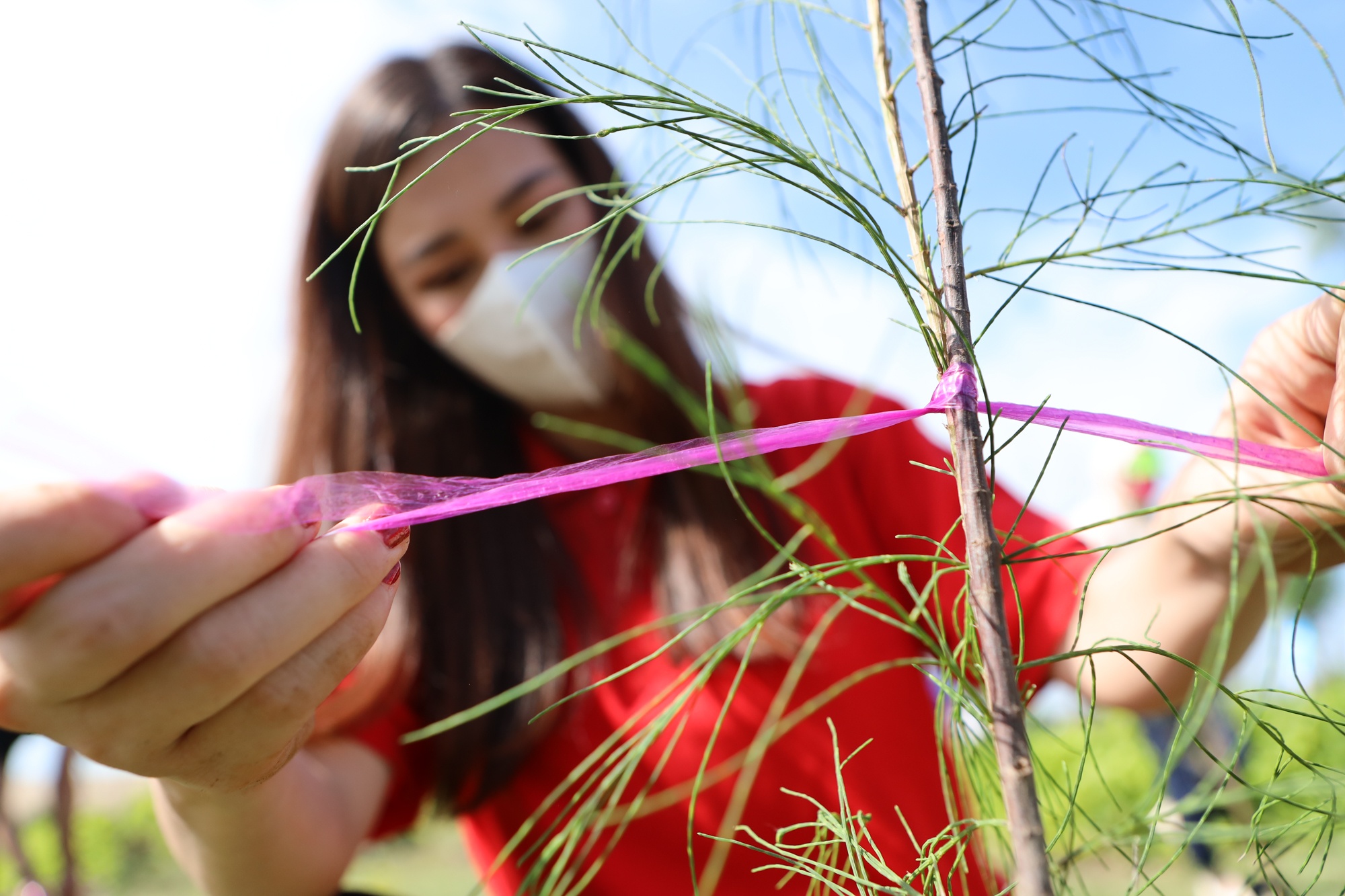 Nguoi tre trong 30.000 cay tao ‘man chan xanh’ khap ca nuoc hinh anh