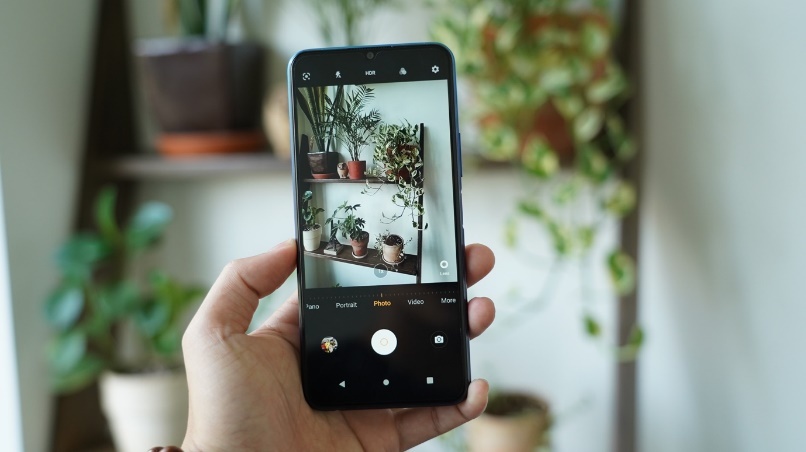 Vivo Y20 pin khoe, gia tot tai The Gioi Di Dong hinh anh