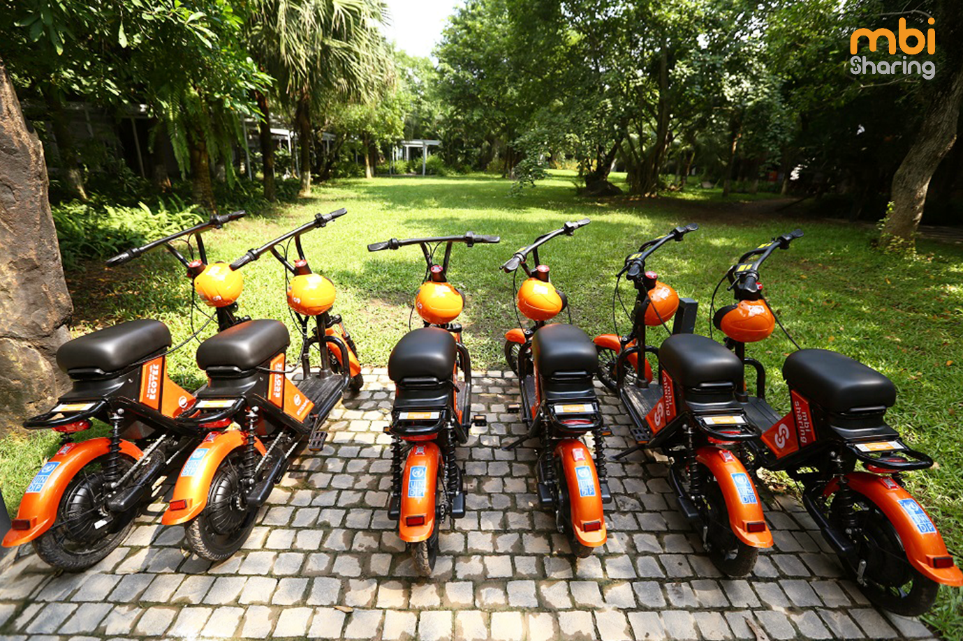 MBI Motors ảnh 3 MBI Motors anh 3