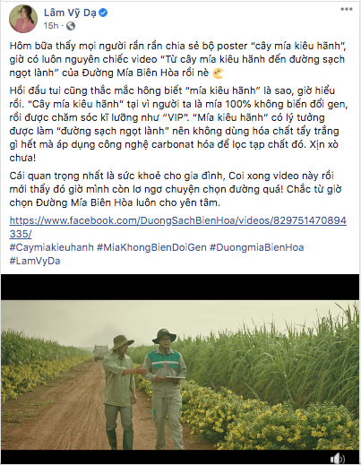 cây mía kiêu hãnh ảnh 1 cay mia kieu hanh anh 1