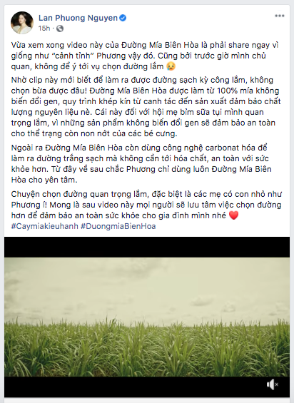 cay mia kieu hanh anh 3