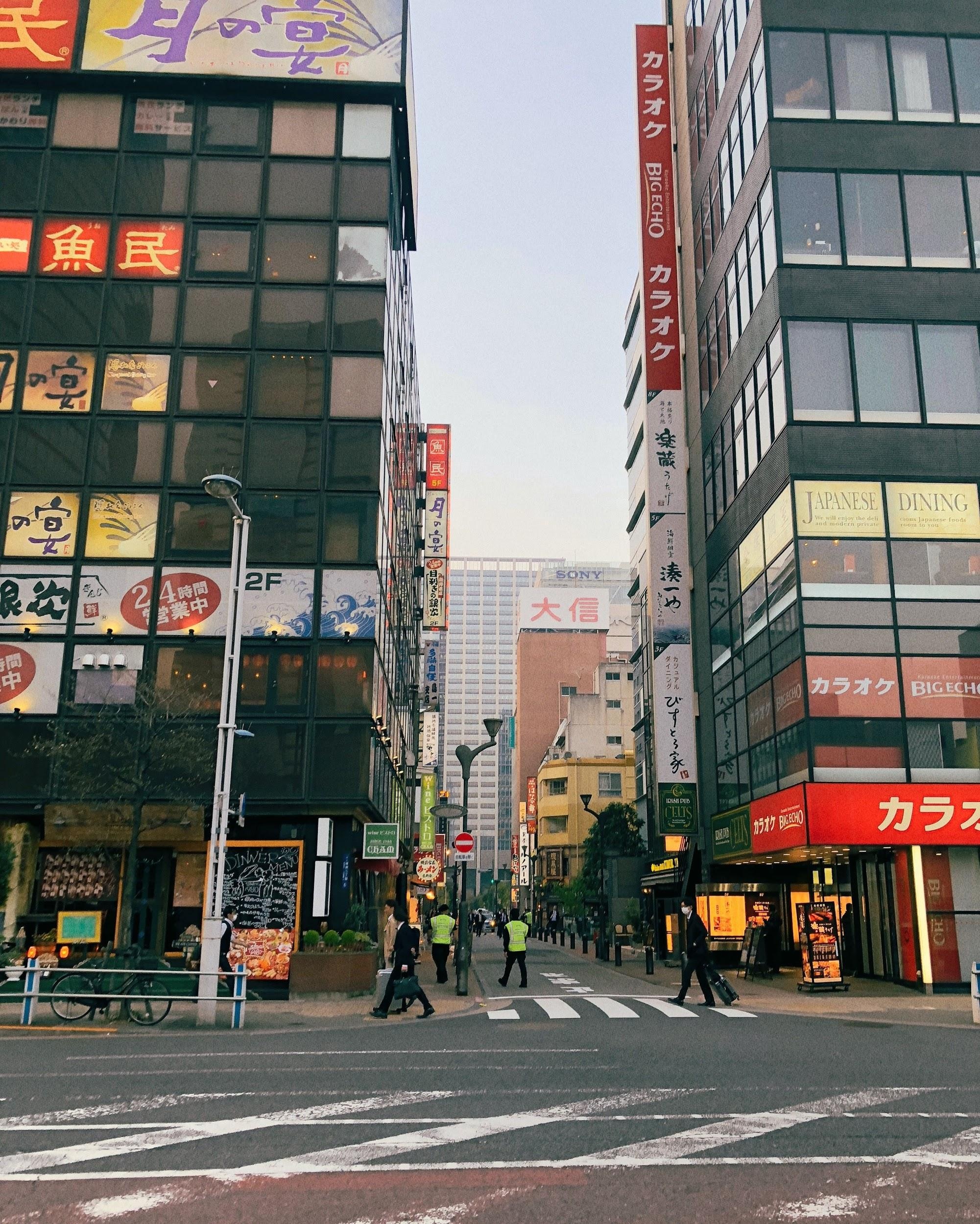 chinh mau co dien anh 1