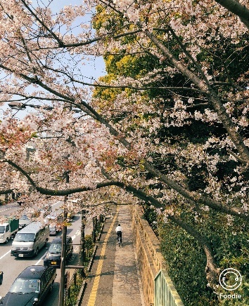 chỉnh màu cổ điển ảnh 2 chinh mau co dien anh 2