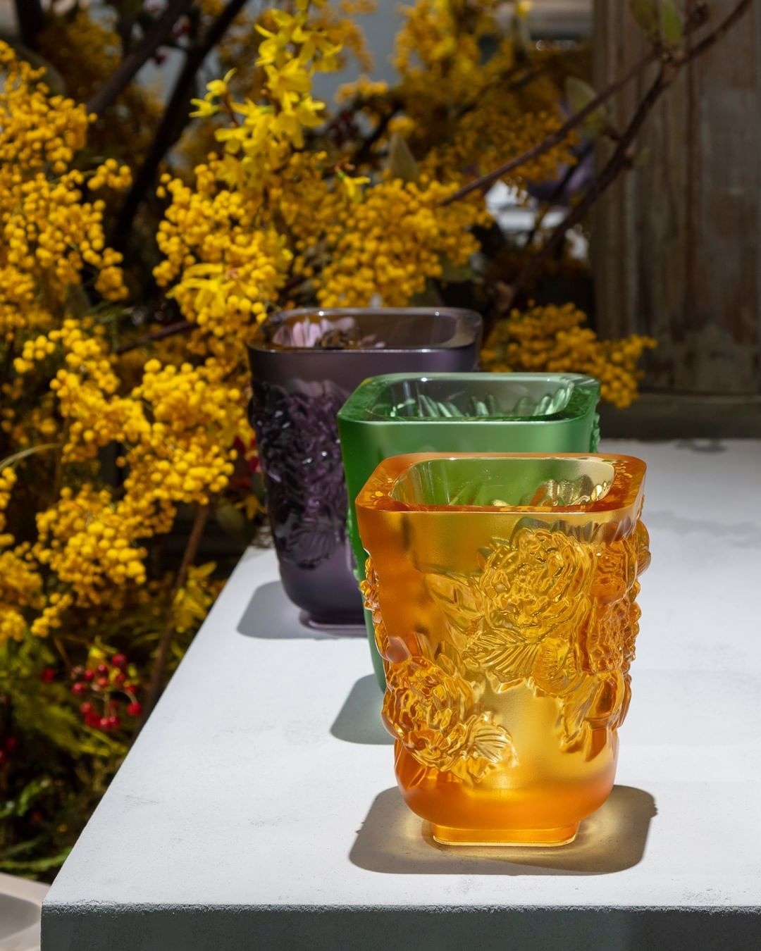 Lalique ảnh 6 Lalique anh 6