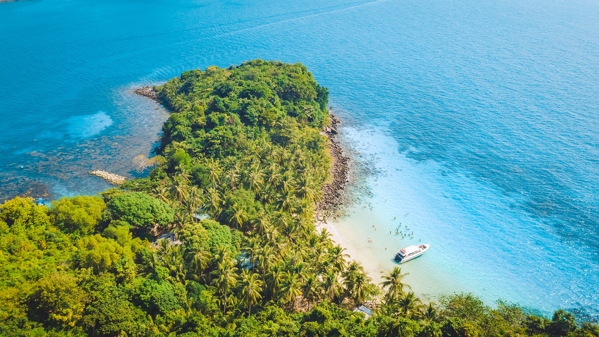 Vi vu Phu Quoc sanh nhu nguoi ban dia hinh anh
