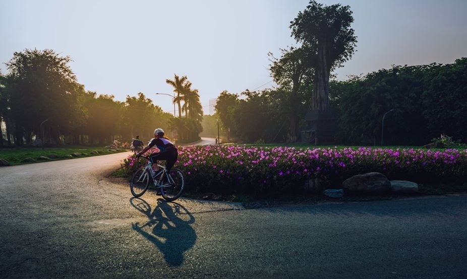 binh minh tai Ecopark anh 6