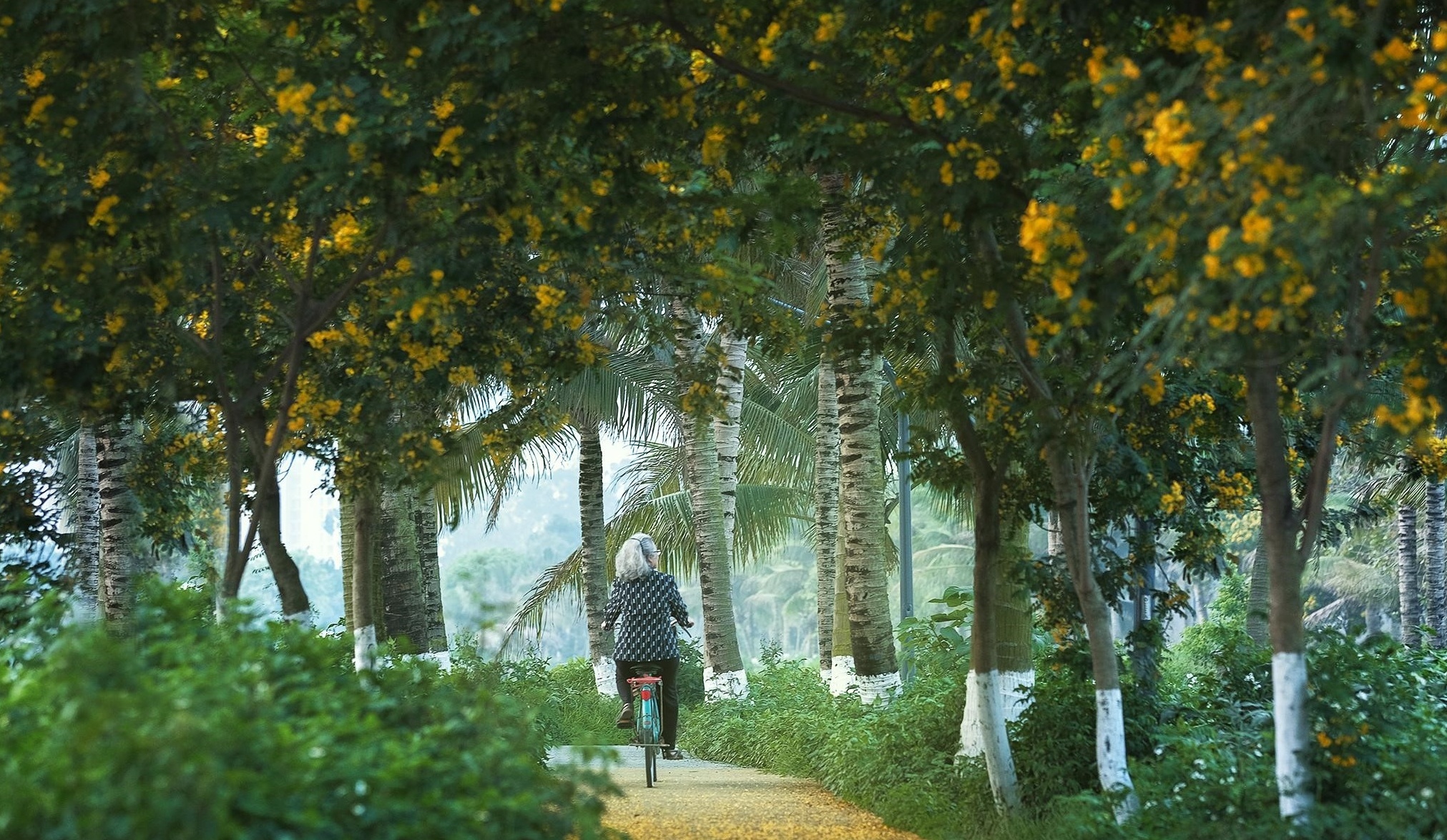binh minh tai Ecopark anh 12
