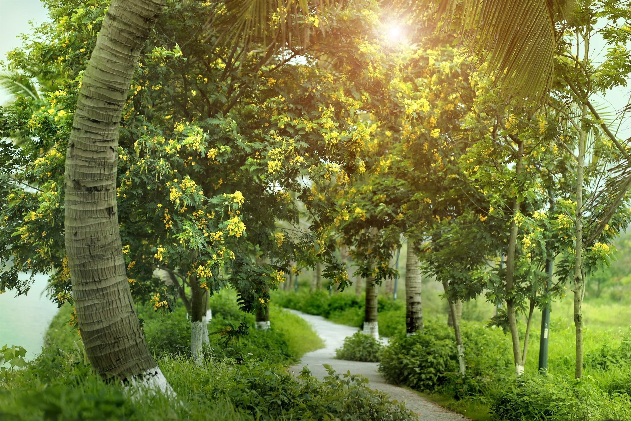 bình minh tại Ecopark ảnh 5 binh minh tai Ecopark anh 5