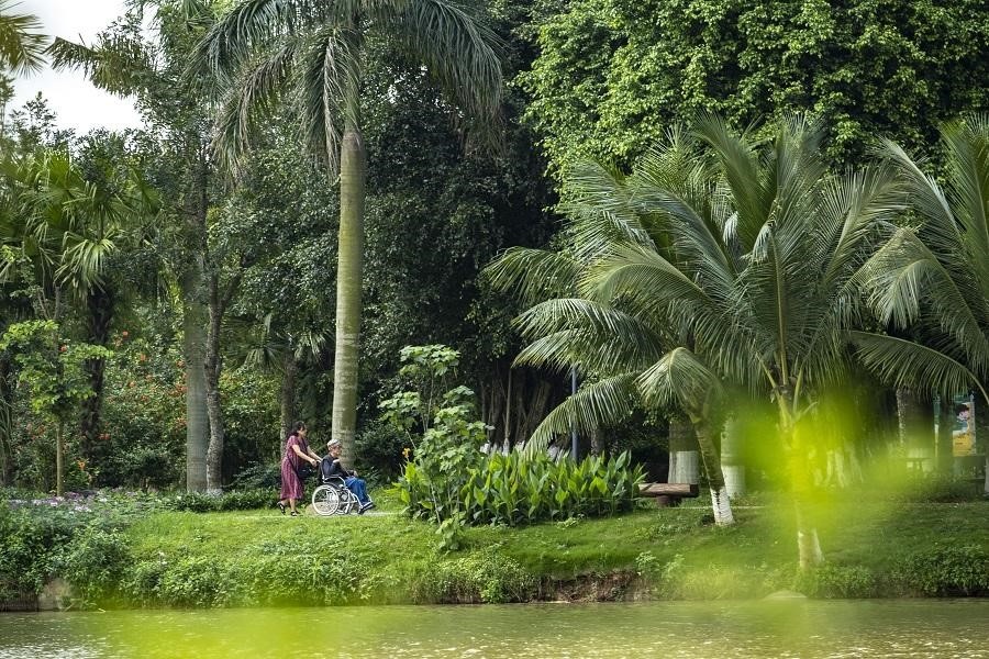 binh minh tai Ecopark anh 7