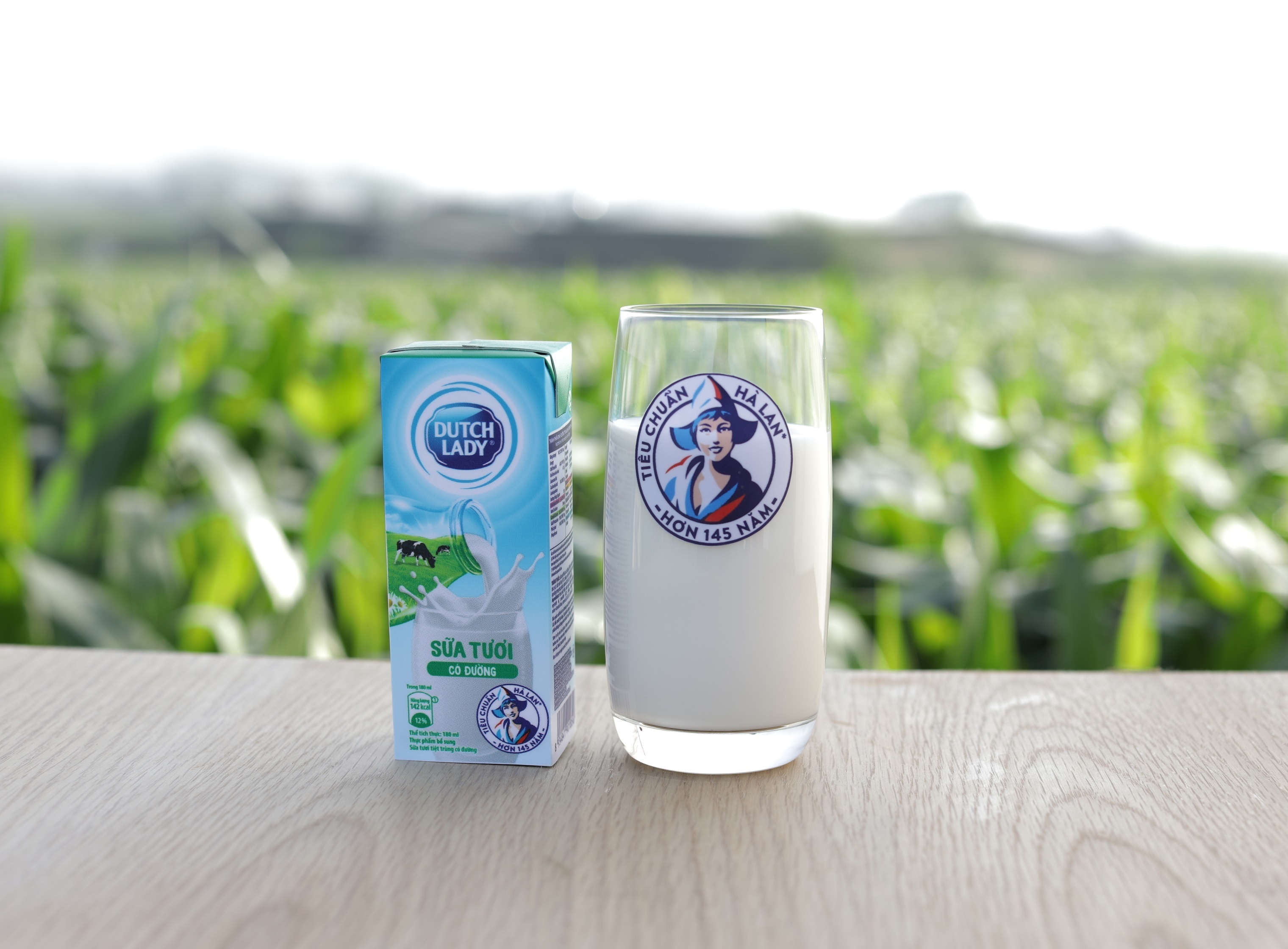 Co Gai Ha Lan anh 15