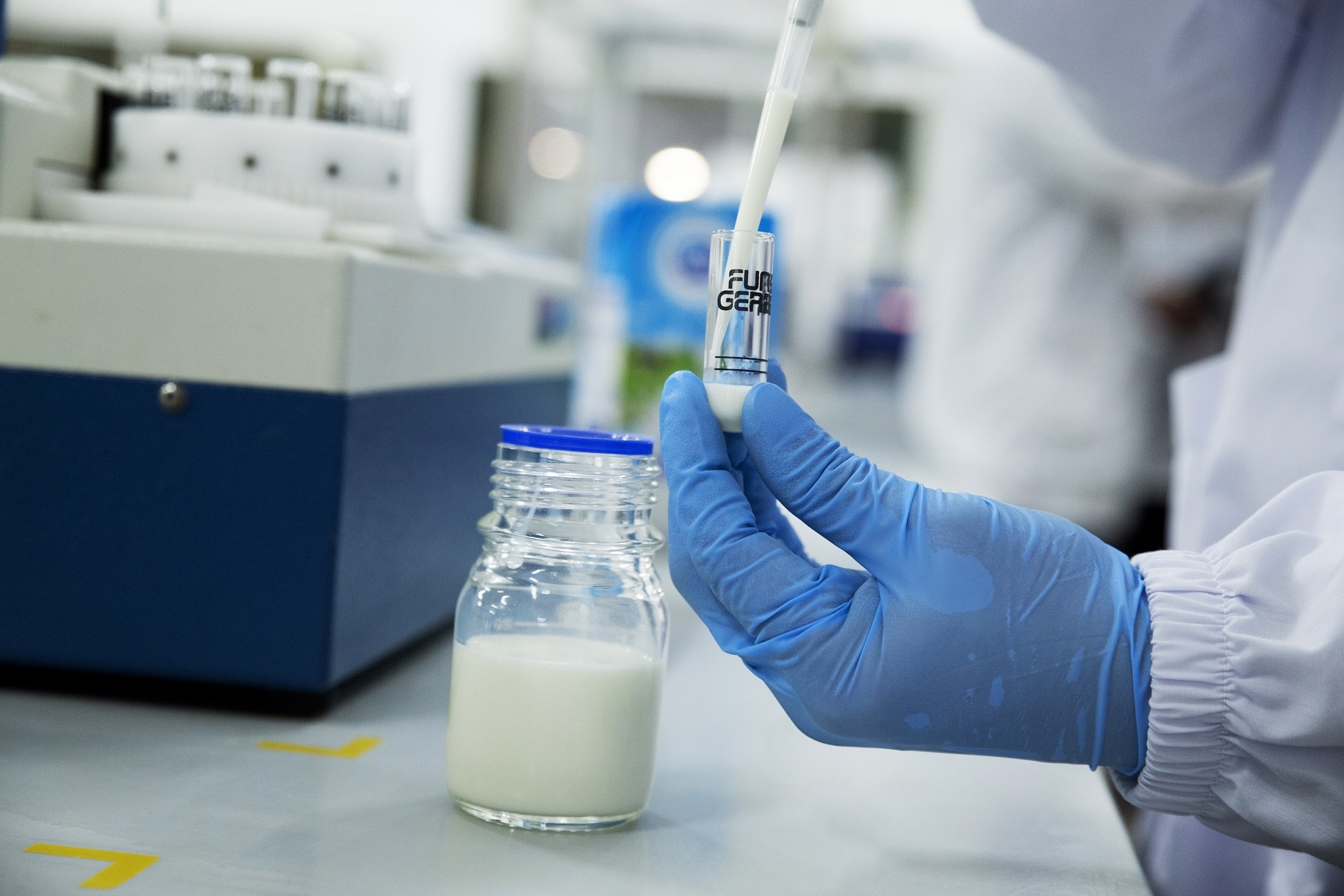 Cô Gái Hà Lan  ảnh 14 Co Gai Ha Lan anh 14