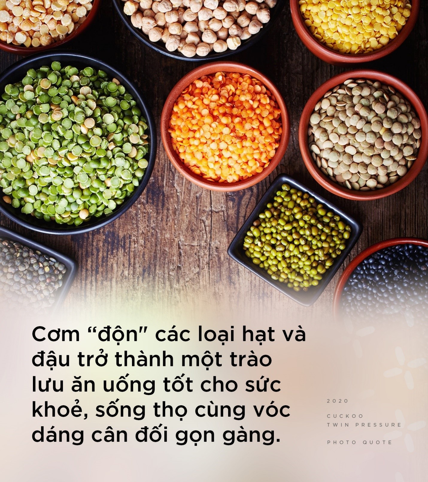 noi com dien Cuckoo anh 2