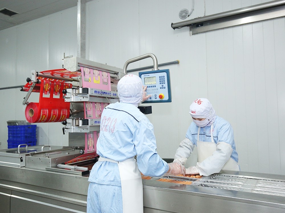Đức Việt ảnh 4 Duc Viet anh 4