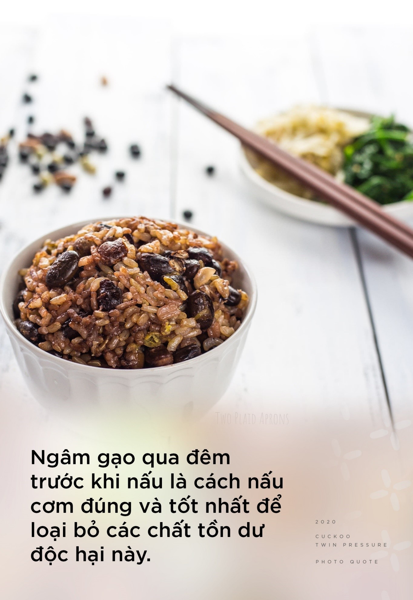 noi com dien Cuckoo anh 3