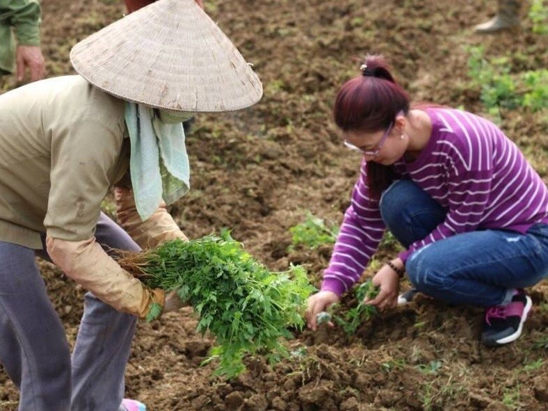 Thu nhap on dinh nho kinh doanh my pham che bien tu nong san hinh anh