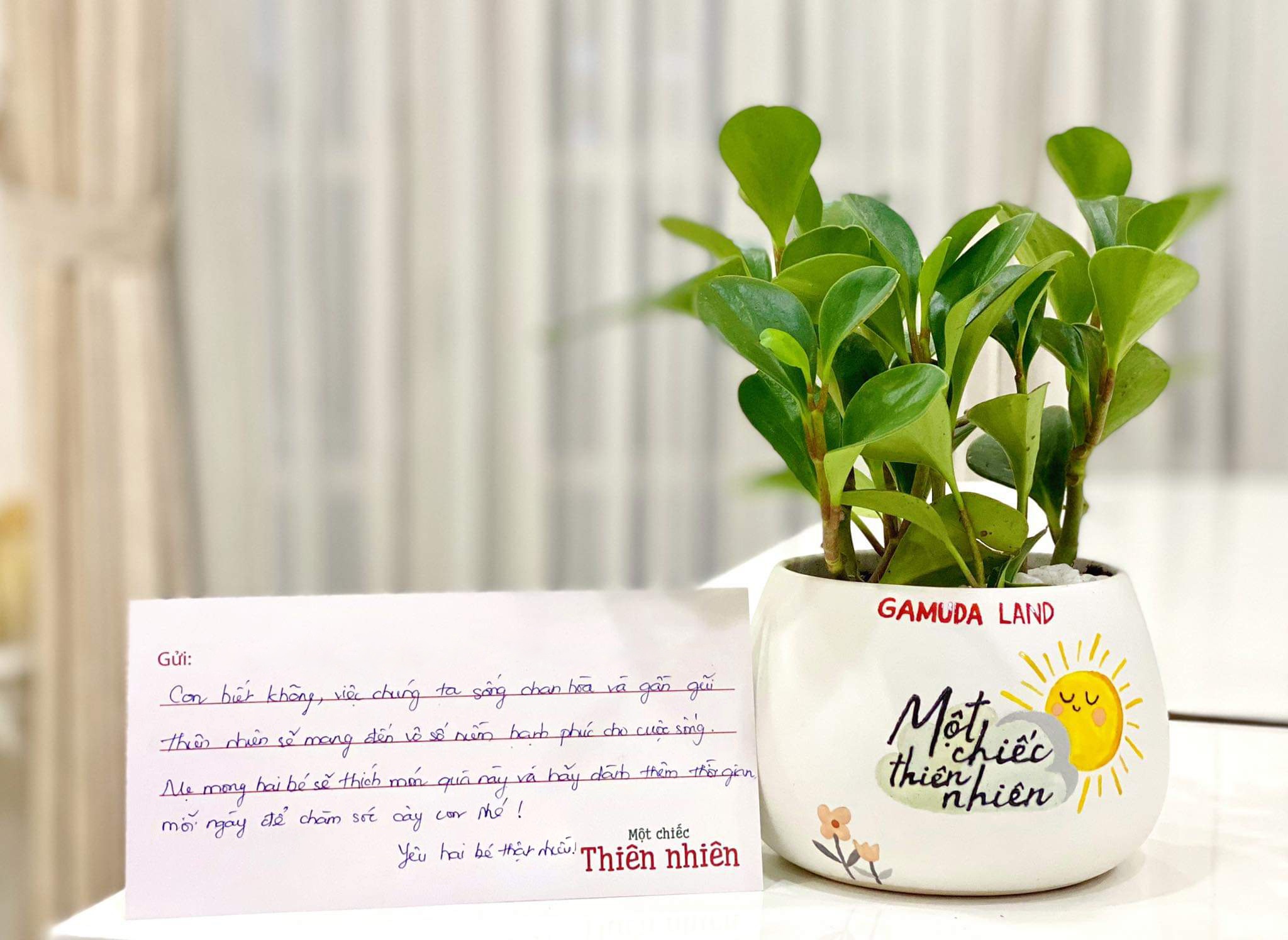 Hanh dong nho lan toa tinh yeu thien nhien hinh anh