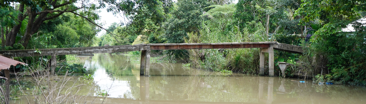 Quỹ Nam Phương ảnh 1 Quy Nam Phuong anh 1