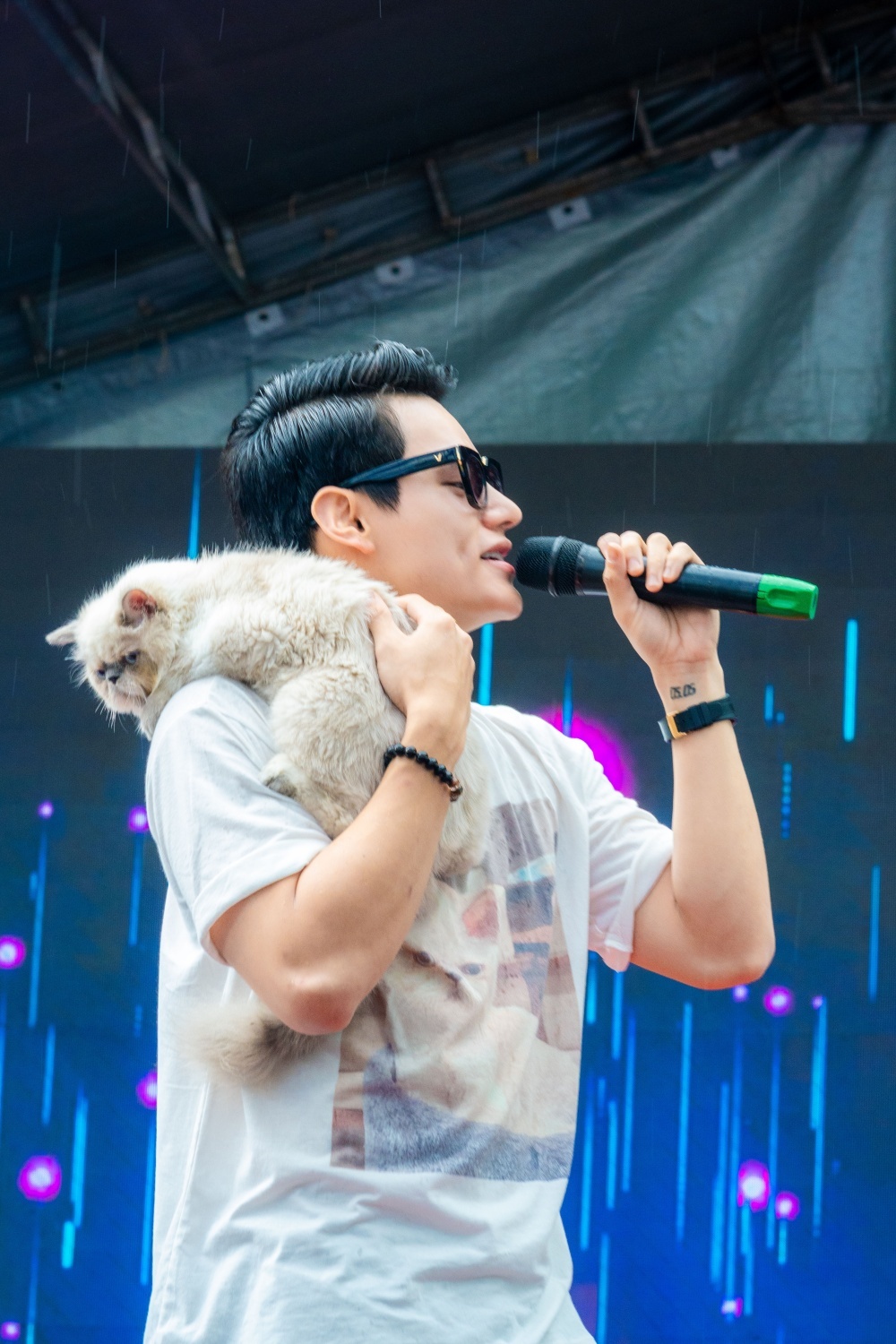 Festival thú cưng Cần Thơ ảnh 1 Festival thu cung Can Tho anh 1