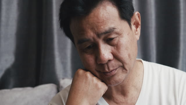 primalis ảnh 2 primalis anh 2